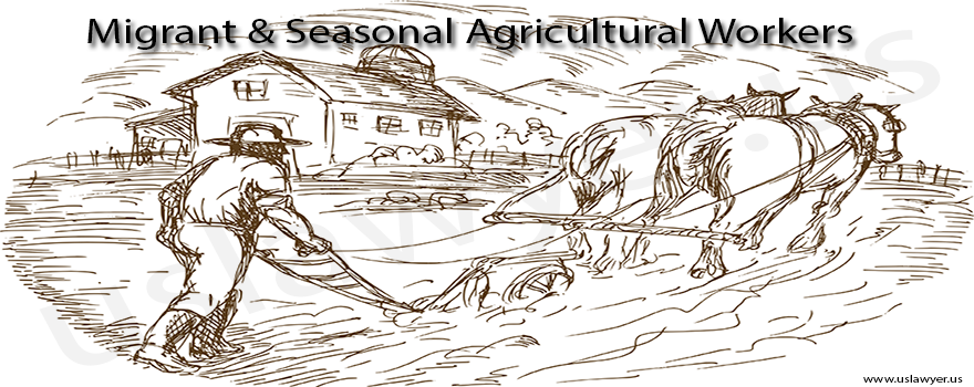 Migrant & Seasonal Agricultural Workers